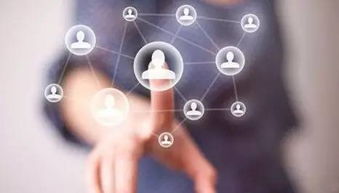 北京软件开发公司排名与大型软件开发公司概览